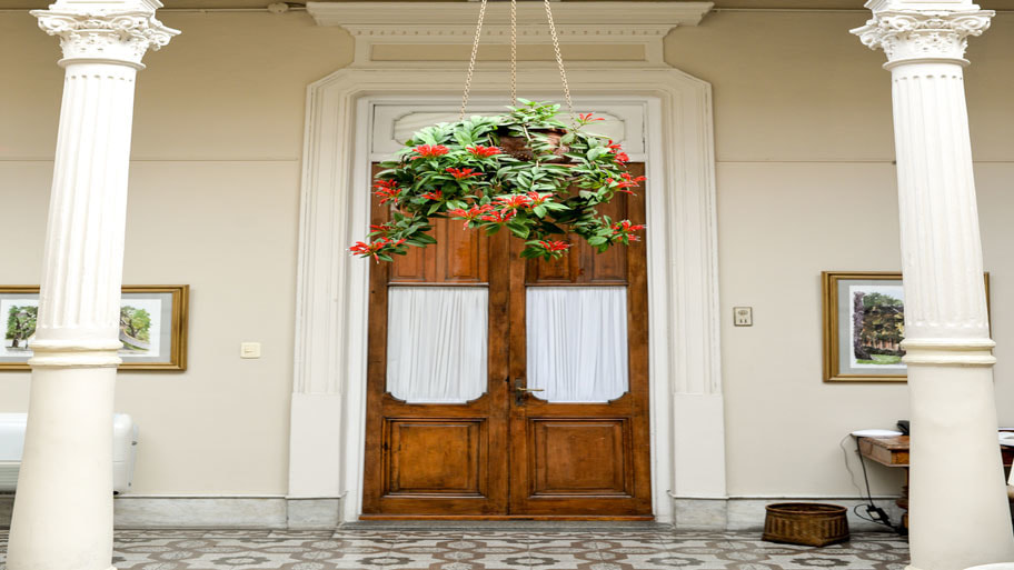 tong hop mau cot son gia da hat trong thi cong 2023 1