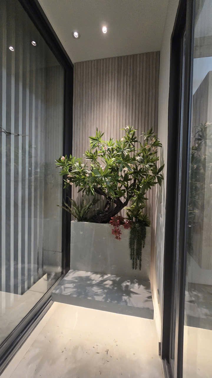 SHOWROOM AN CƯỜNG ĐÀ NẴNG 9 showroom an cuong 9